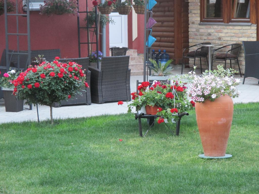 Vila Boska Palić エクステリア 写真