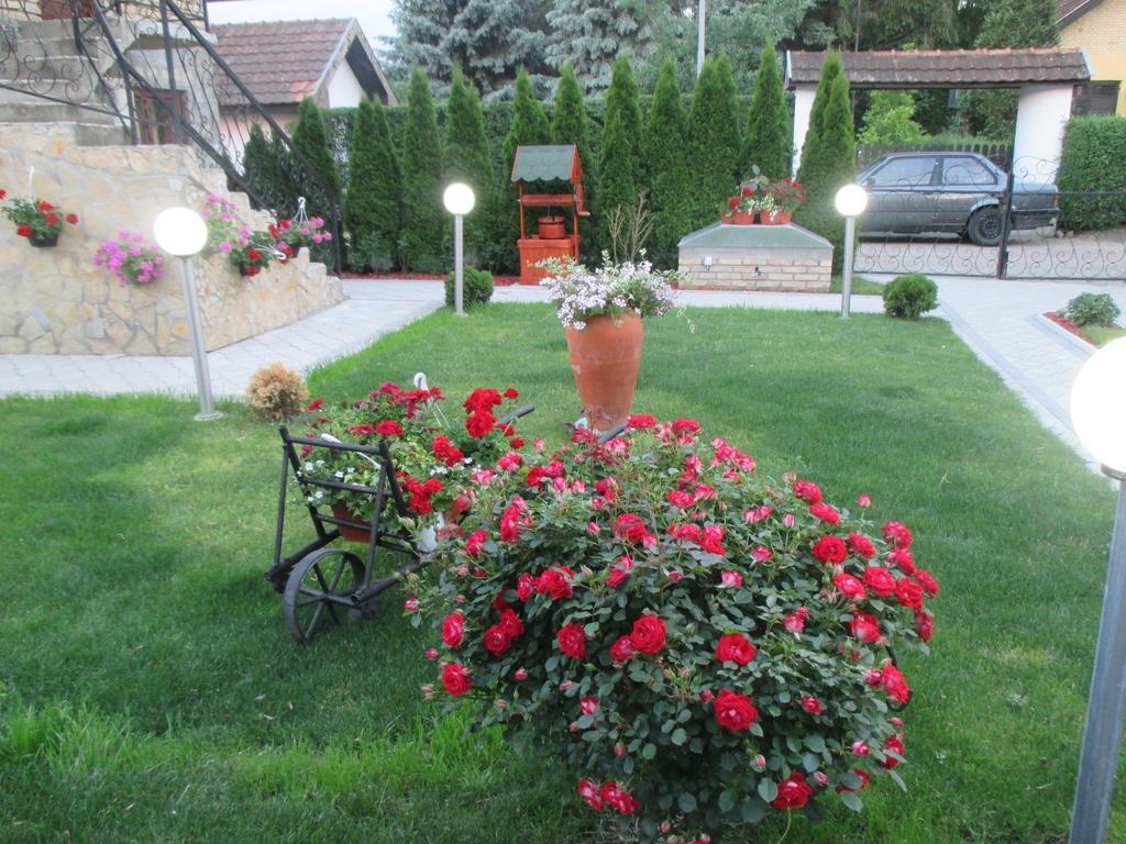 Vila Boska Palić エクステリア 写真